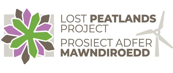 Lost Peatlands Project