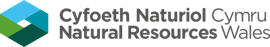 Logo Cyfoeth Naturiol Cymru