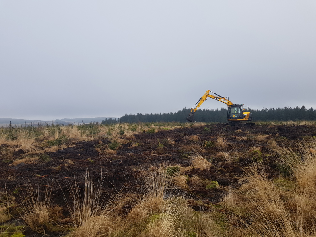 Trial Area Restoration In Progess