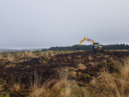 Trial Area Restoration In Progess