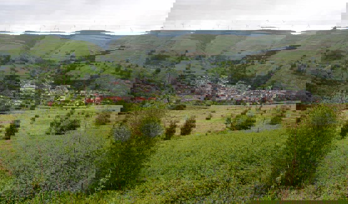 Glyncorrwg Community Wild Space