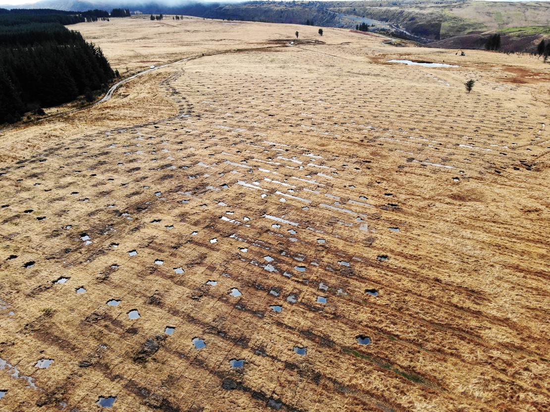 LPPCN.001 View South Edit