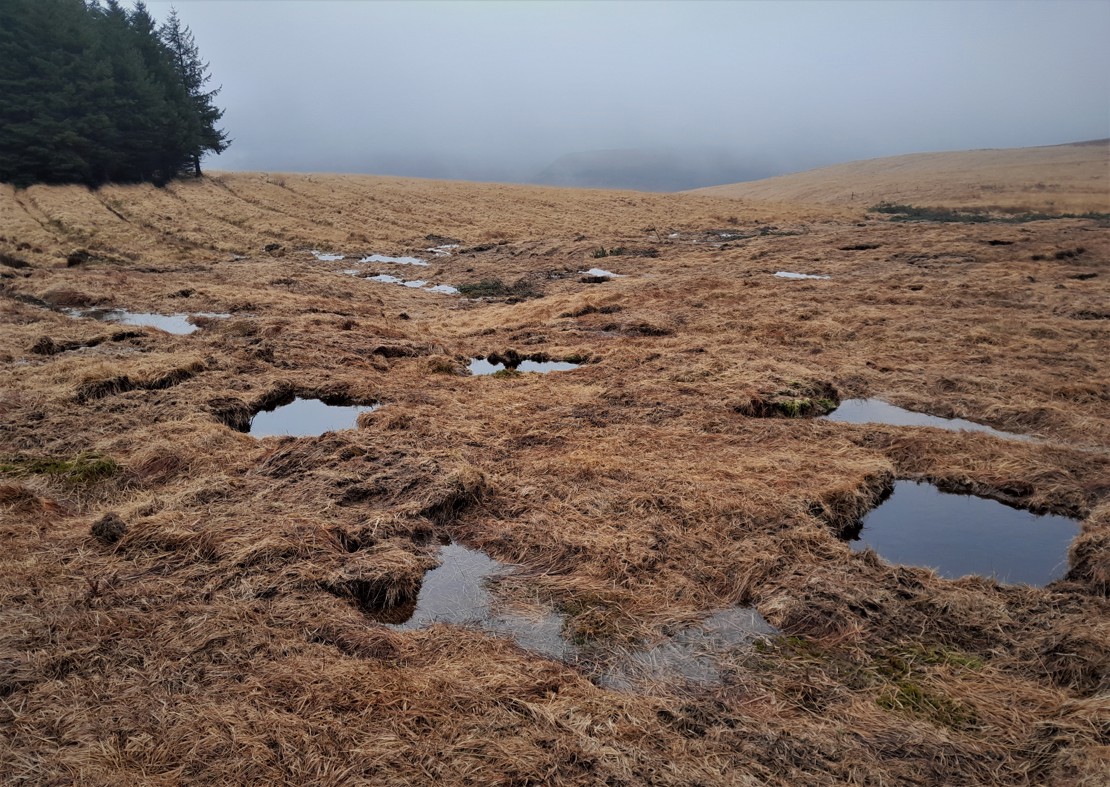 Cwm Saerbren HRA Peat Dams And Pools