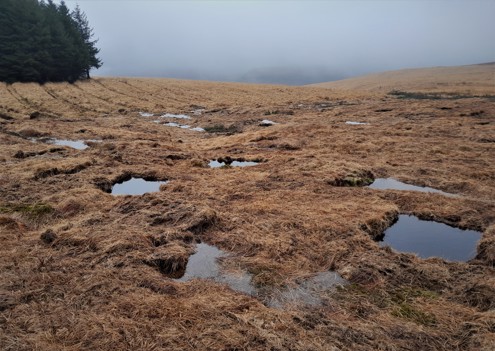Cwm Saerbren HRA Peat Dams And Pools