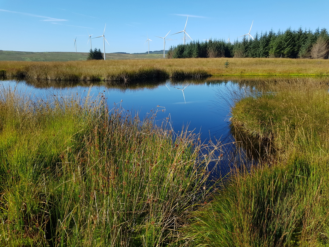 Castell Nos Habitat Restoration Area