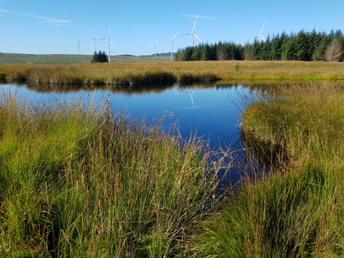Castell Nos Habitat Restoration Area