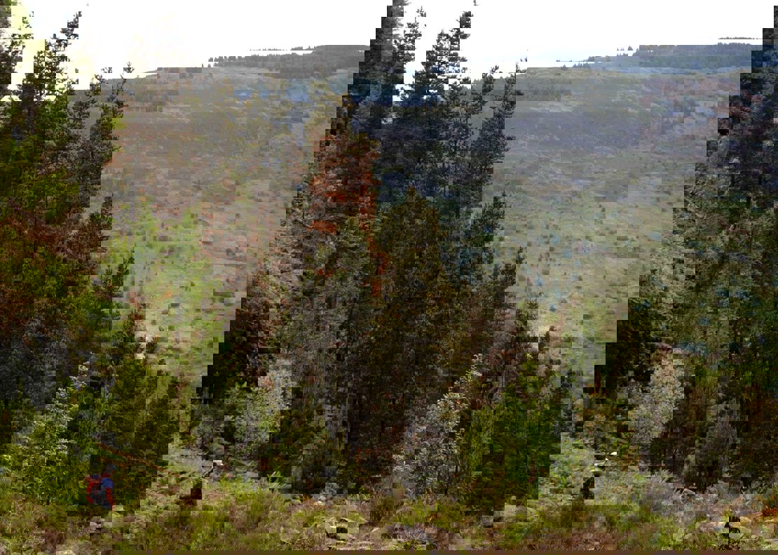 Blaenrhondda Community Wild Space