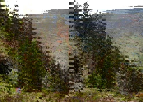 Blaenrhondda Community Wild Space