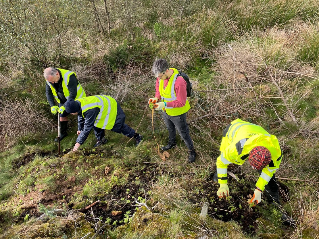 Volunteer Day PYC Sphagnum Planting
