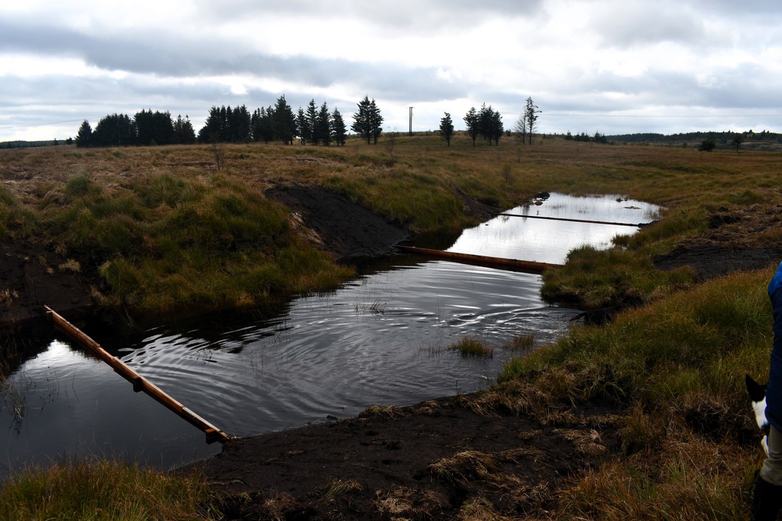 Timber Dams CN Portrait (5)