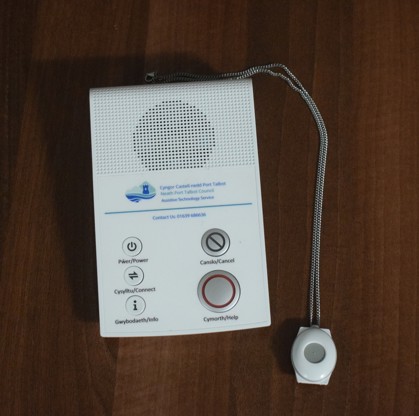 A Lifeline unit and pendant