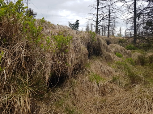 Peat Edge Cwm Saerbren