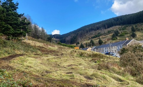 Gwynfi Community Wild Space