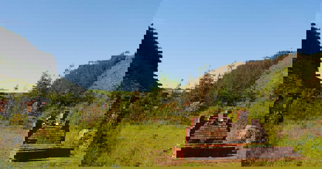 Cymmer Tip Community Wild Space (CWS)