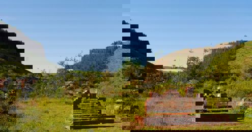 Cymmer Tip Community Wild Space (CWS)